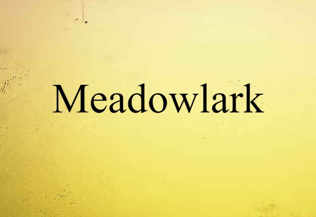 Meadowlark (noun) Definition, Meaning & Examples