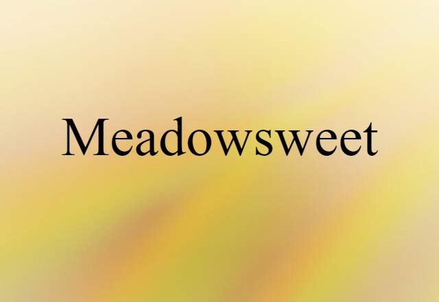 meadowsweet