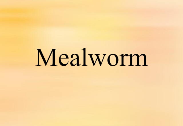 mealworm