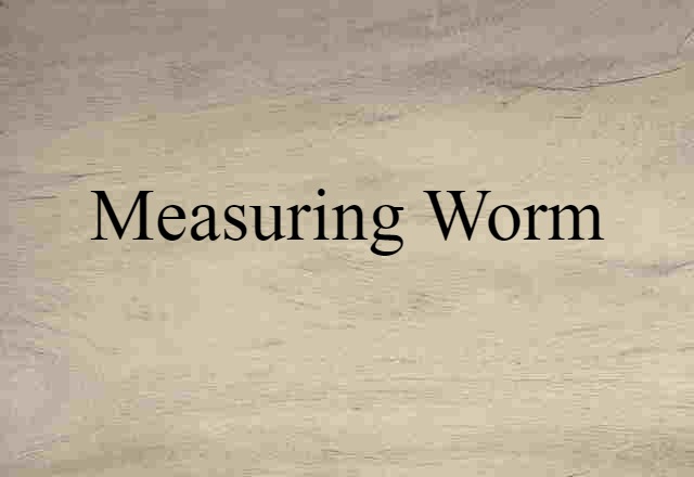 measuring worm