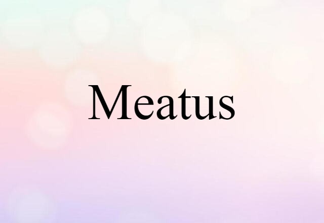 meatus