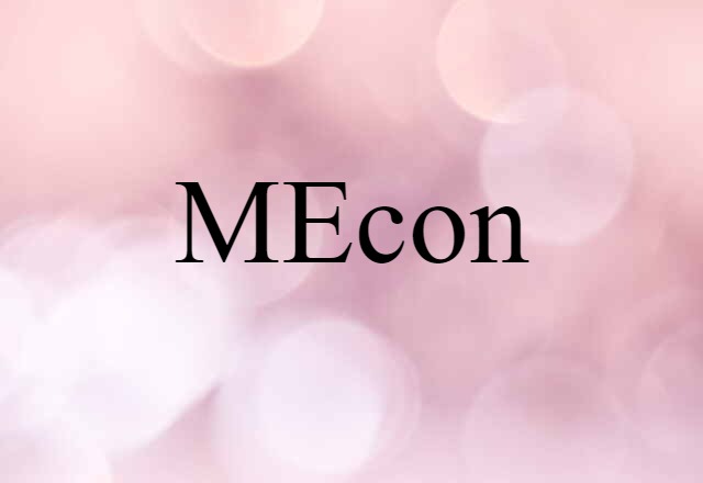 MEcon (noun) Definition, Meaning & Examples