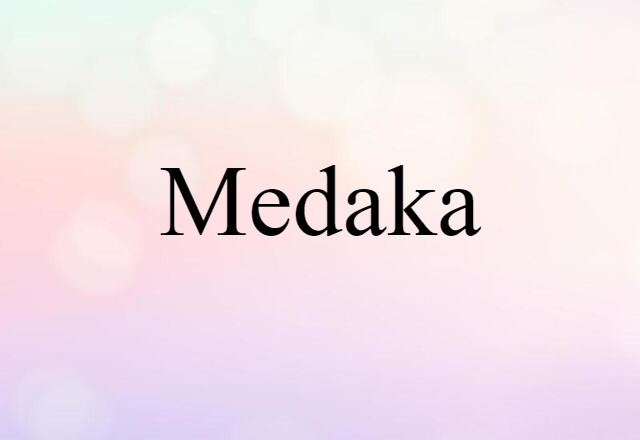 Medaka (noun) Definition, Meaning & Examples