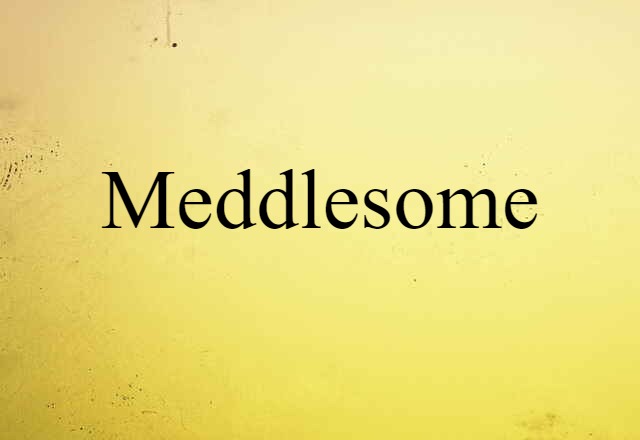 Meddlesome (noun) Definition, Meaning & Examples