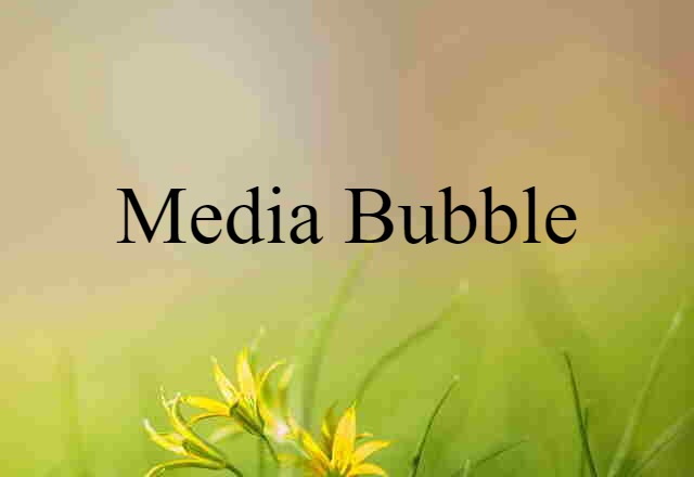 media bubble