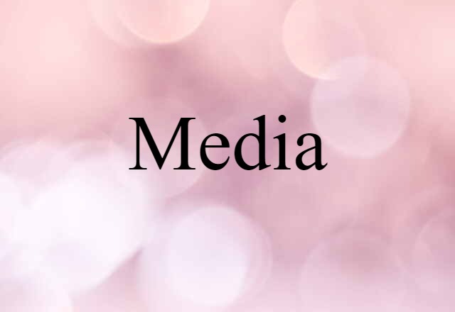 Media (noun) Definition, Meaning & Examples