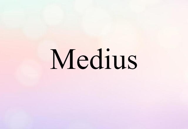 Medius (noun) Definition, Meaning & Examples