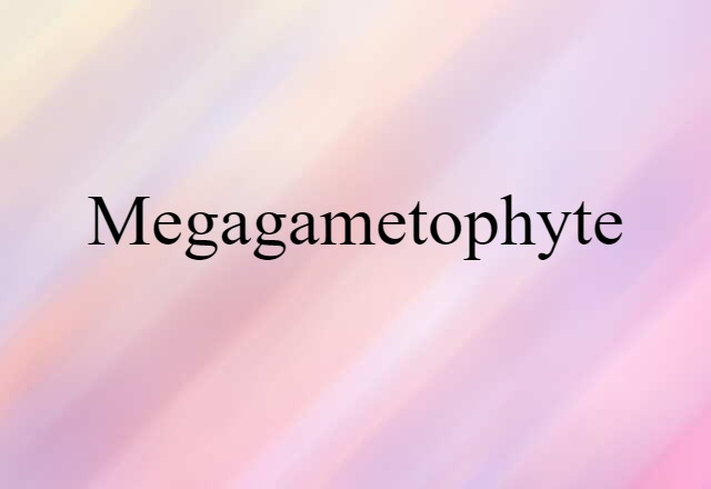 Megagametophyte (noun) Definition, Meaning & Examples