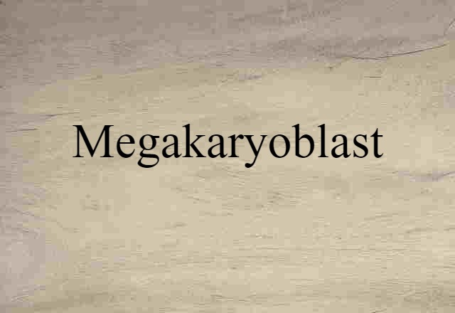 megakaryoblast