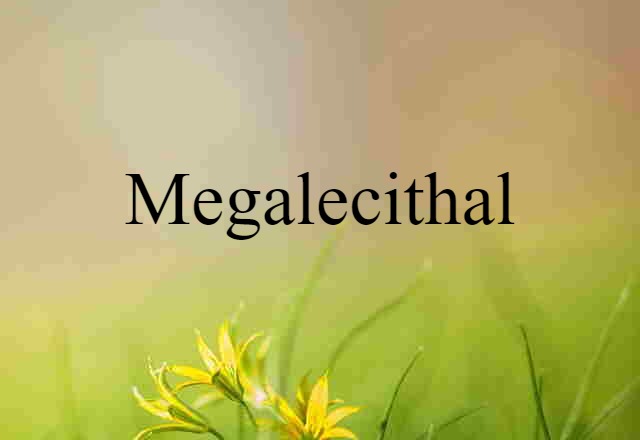 Megalecithal (noun) Definition, Meaning & Examples