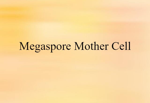 megaspore mother cell