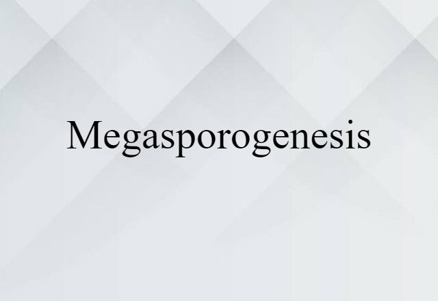 megasporogenesis