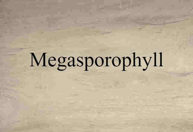 megasporophyll