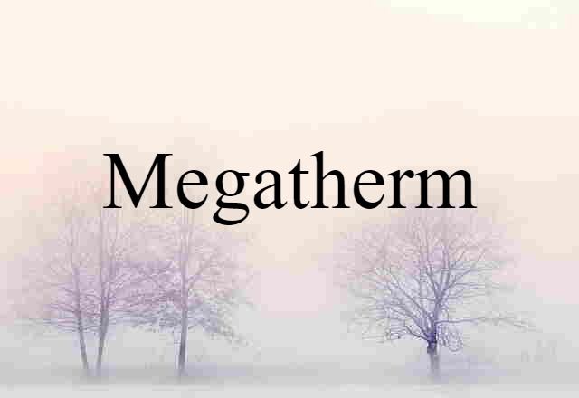 Megatherm (noun) Definition, Meaning & Examples