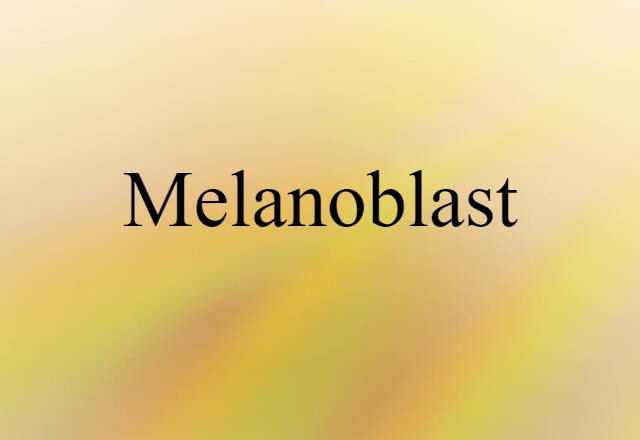 Melanoblast (noun) Definition, Meaning & Examples