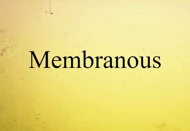 Membranous (noun) Definition, Meaning & Examples