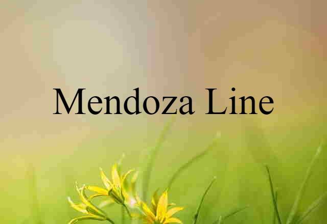 Mendoza Line (noun) Definition, Meaning & Examples