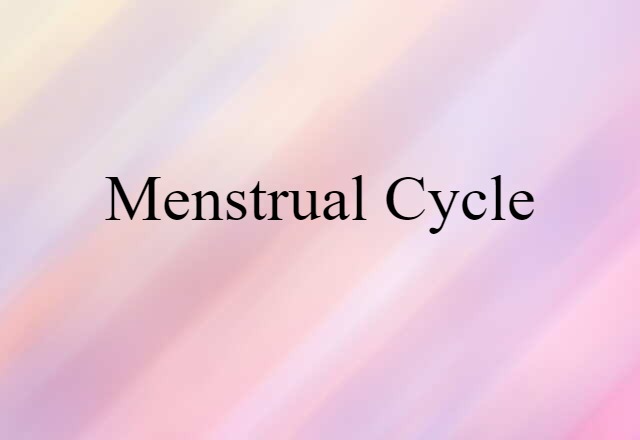 Menstrual Cycle (noun) Definition, Meaning & Examples