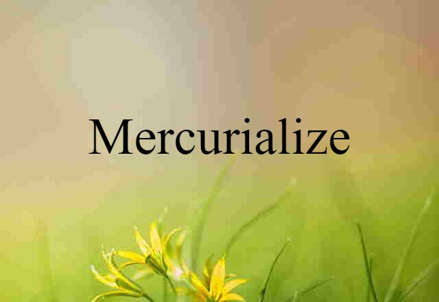 Mercurialize (noun) Definition, Meaning & Examples