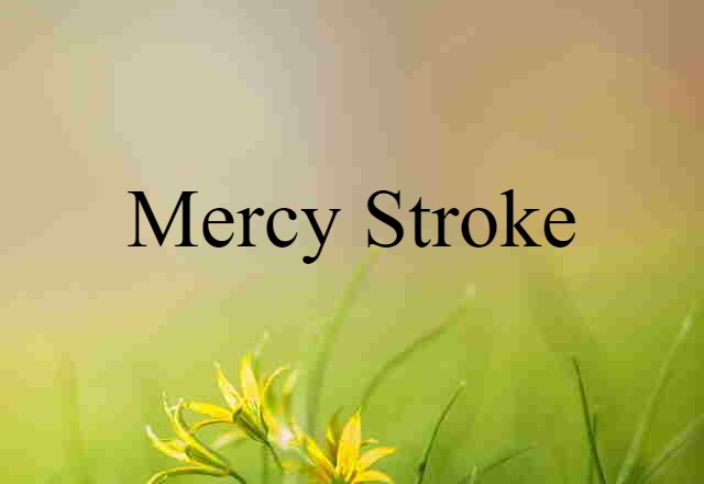 Mercy Stroke (noun) Definition, Meaning & Examples