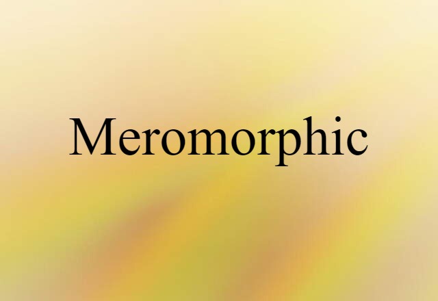 Meromorphic (noun) Definition, Meaning & Examples