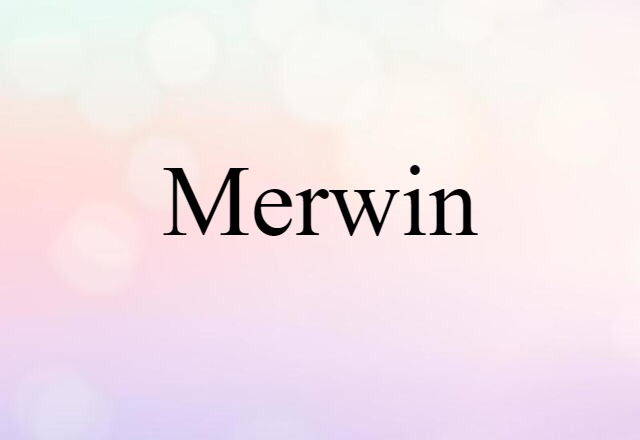 Merwin (noun) Definition, Meaning & Examples