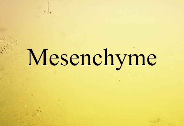 mesenchyme