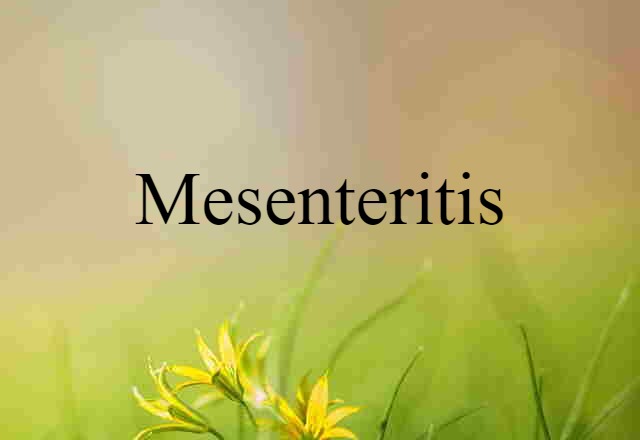 mesenteritis