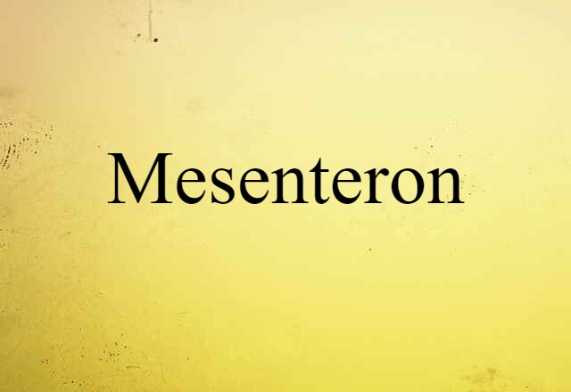 Mesenteron (noun) Definition, Meaning & Examples