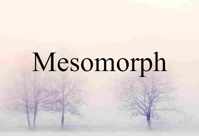 Mesomorph (noun) Definition, Meaning & Examples