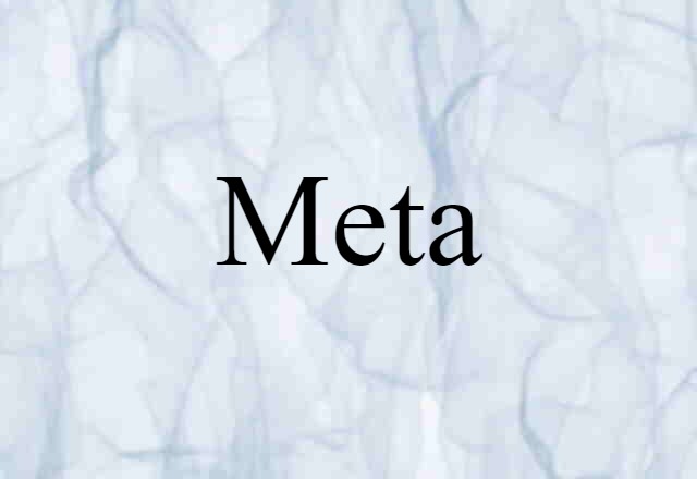 Meta (noun) Definition, Meaning & Examples