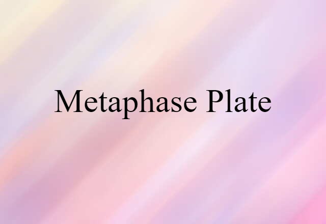 metaphase plate