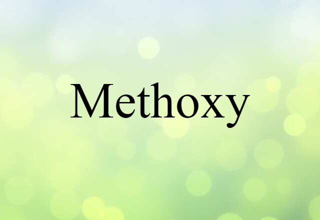 Methoxy (noun) Definition, Meaning & Examples