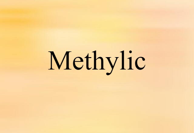 Methylic (noun) Definition, Meaning & Examples