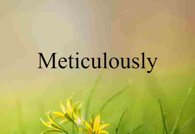 Meticulously (noun) Definition, Meaning & Examples