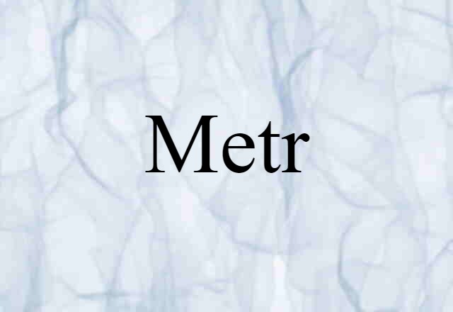 Metr (noun) Definition, Meaning & Examples