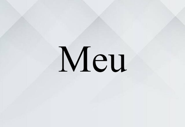 Meu (noun) Definition, Meaning & Examples