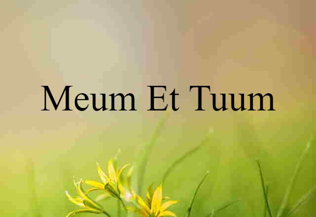 meum et tuum