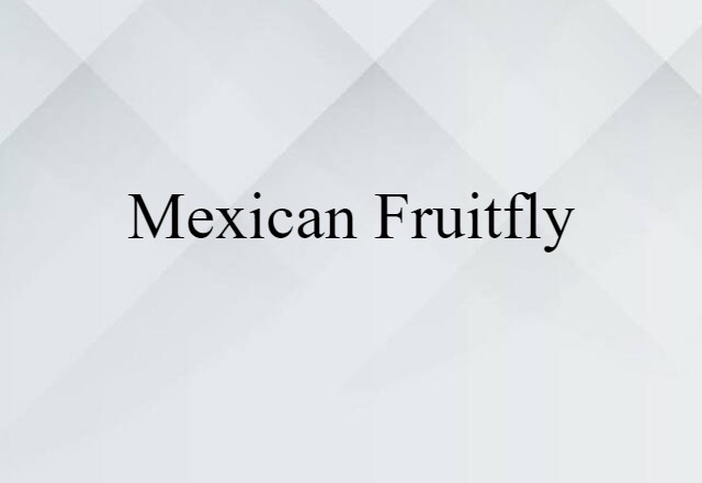 Mexican Fruitfly (noun) Definition, Meaning & Examples