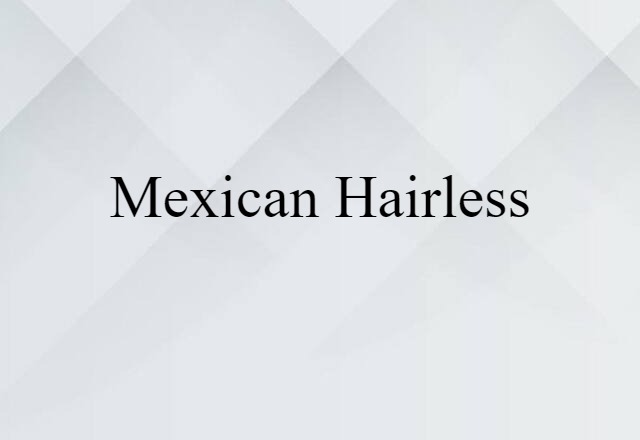 Mexican hairless