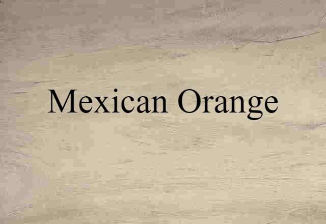 Mexican orange