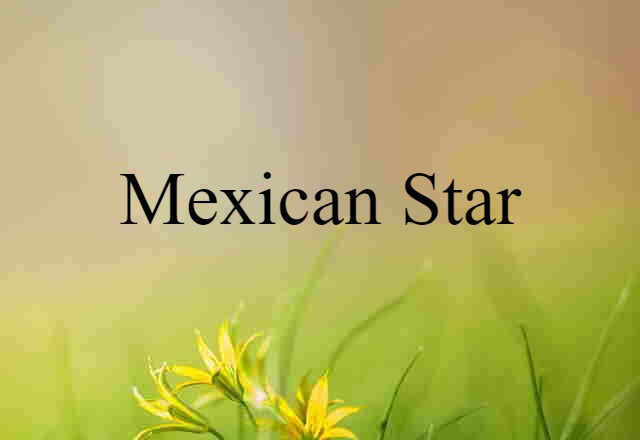 Mexican Star (noun) Definition, Meaning & Examples