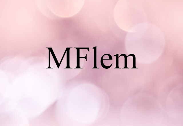 MFlem (noun) Definition, Meaning & Examples