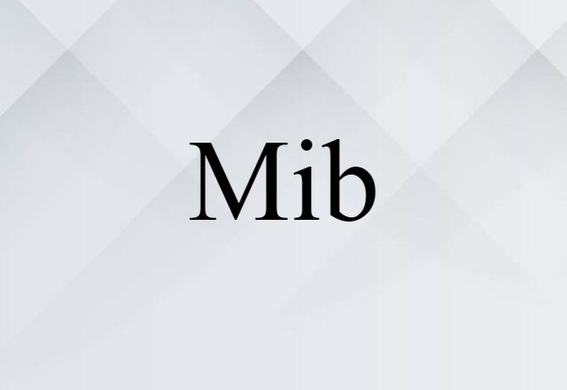 Mib (noun) Definition, Meaning & Examples