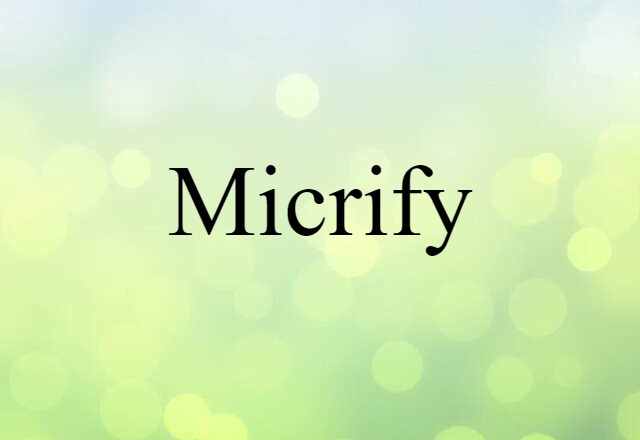 Micrify (noun) Definition, Meaning & Examples