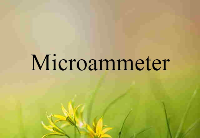 Microammeter (noun) Definition, Meaning & Examples