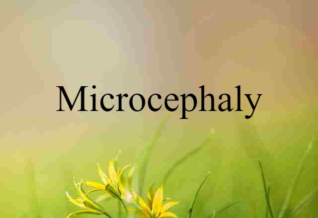 Microcephaly (noun) Definition, Meaning & Examples