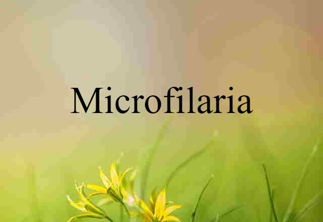 microfilaria