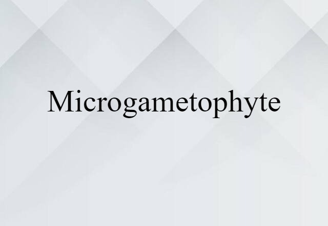 microgametophyte