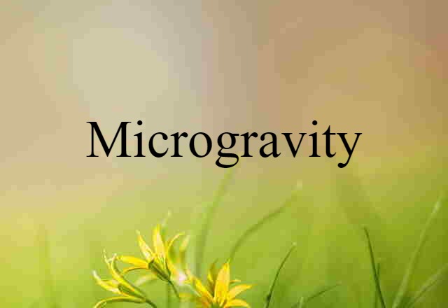 Microgravity (noun) Definition, Meaning & Examples